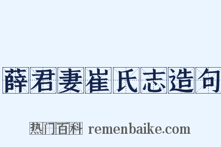 薛君妻崔氏志造句是什么意思的图片